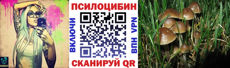 Купить  Клинцы  Псилоцибиновые грибы прущие грибы 