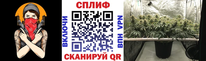 Каннабис VHQ  Купить закладки  Клинцы 